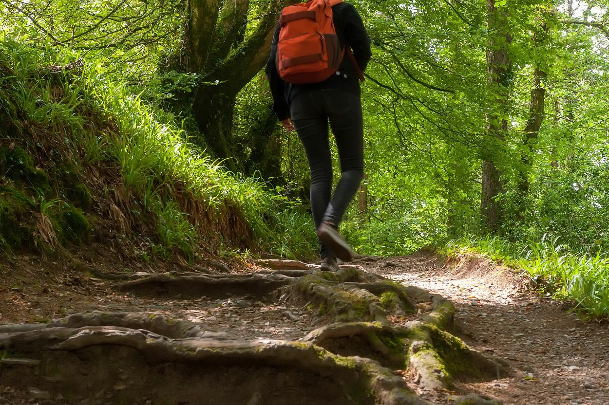 Man hiking through forest in North Devon
